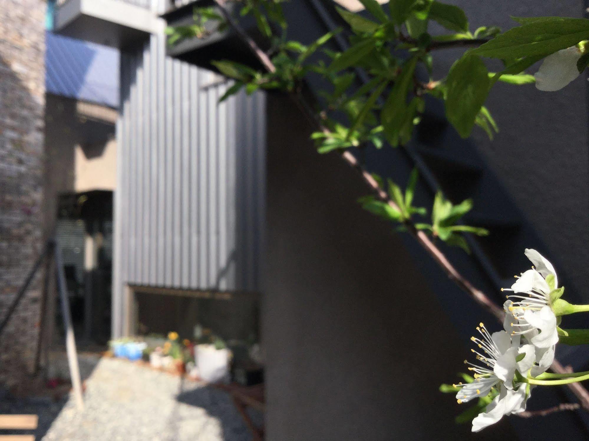 Inside Busan Hostal Exterior foto